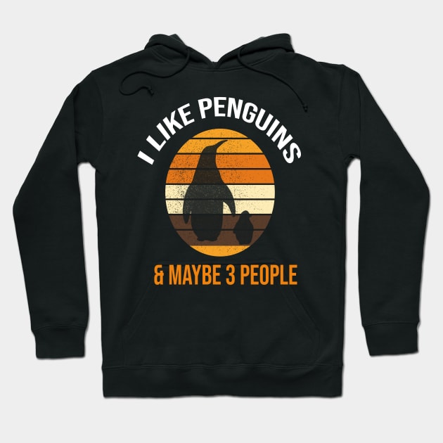 I Like Penguins & Maybe 3 People Hoodie by Jmass